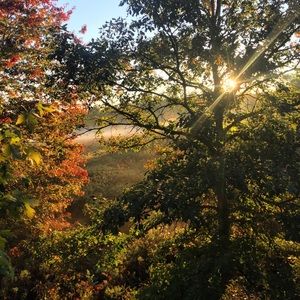 Meet your Posher, Cody